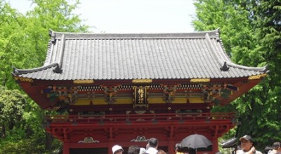 つつじまつりをやっていた根津神社