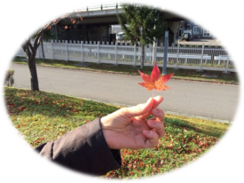 もみじ（手は木幡さん♪）