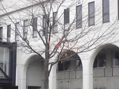 かろうじて枝に残る葉っぱ…残りわずか…