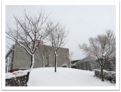 雪景色になりました…白…