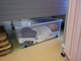 箱入り娘になって、安全地帯に収納される…