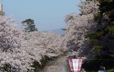 4/25の土曜日は早朝弘前へ