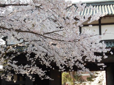 追手門を入ったところ