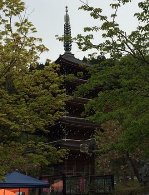 新緑と五重塔