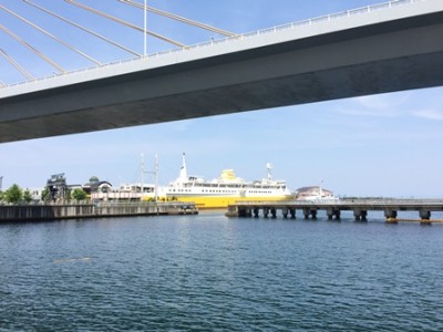 海沿いをトコトコ