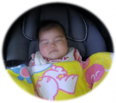 今日のおねんねさん