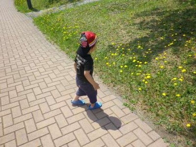 ブンブンいる！！