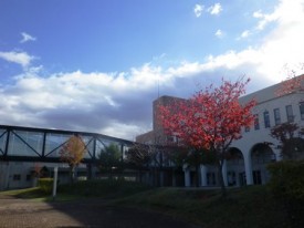 保健大に着いた頃には青空が♪