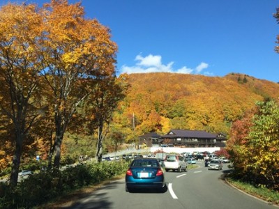 秋晴れの中、紅葉を見に山へドライブ