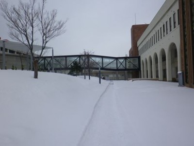 雪はあるけど今日は降ってなくてよかった♪