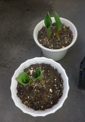 いいね♪　いいね♪