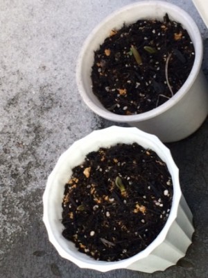 3/4はこのぐらい