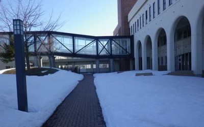 雪もだんだん少なくなってます♪