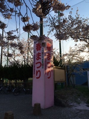 桜を見て、お店を見て、一回り…楽しんできました♪