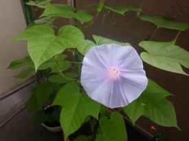 また来週～(^.^)/~~~