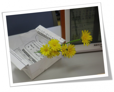 お散歩組のおみやげ♪