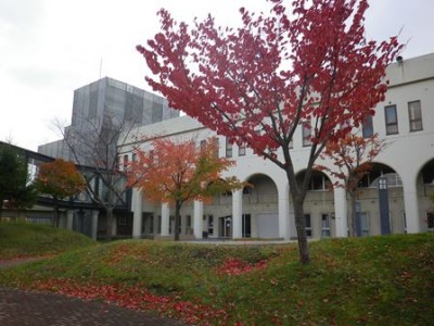 朝はまだチラホラ白いものが舞う程度で、紅い葉っぱがキレイ♪