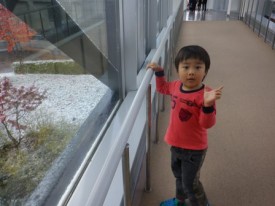 今、外はこんな状況です!