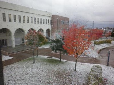 白くなってる!!